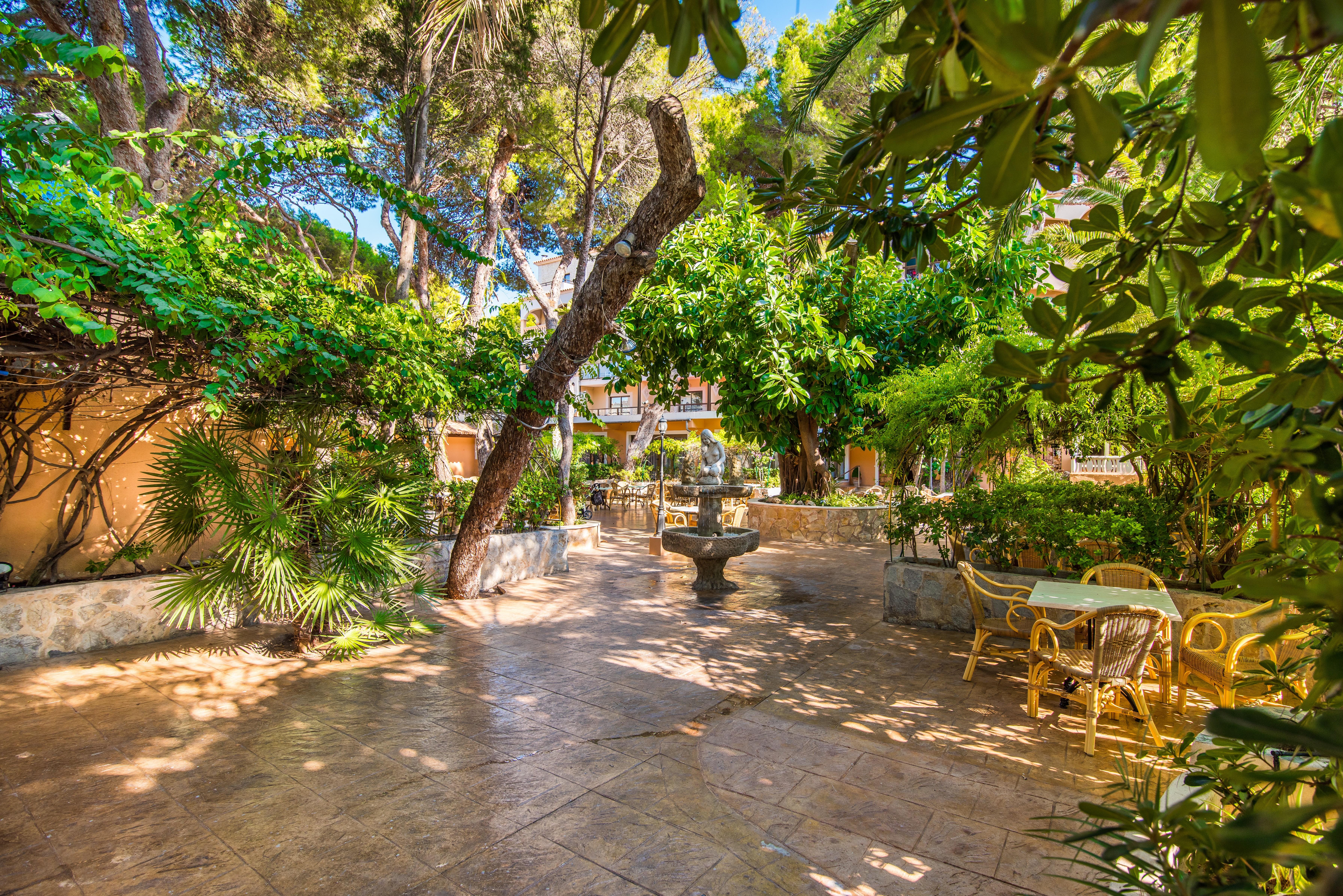 Hotel Baviera Cala Ratjada  Dış mekan fotoğraf
